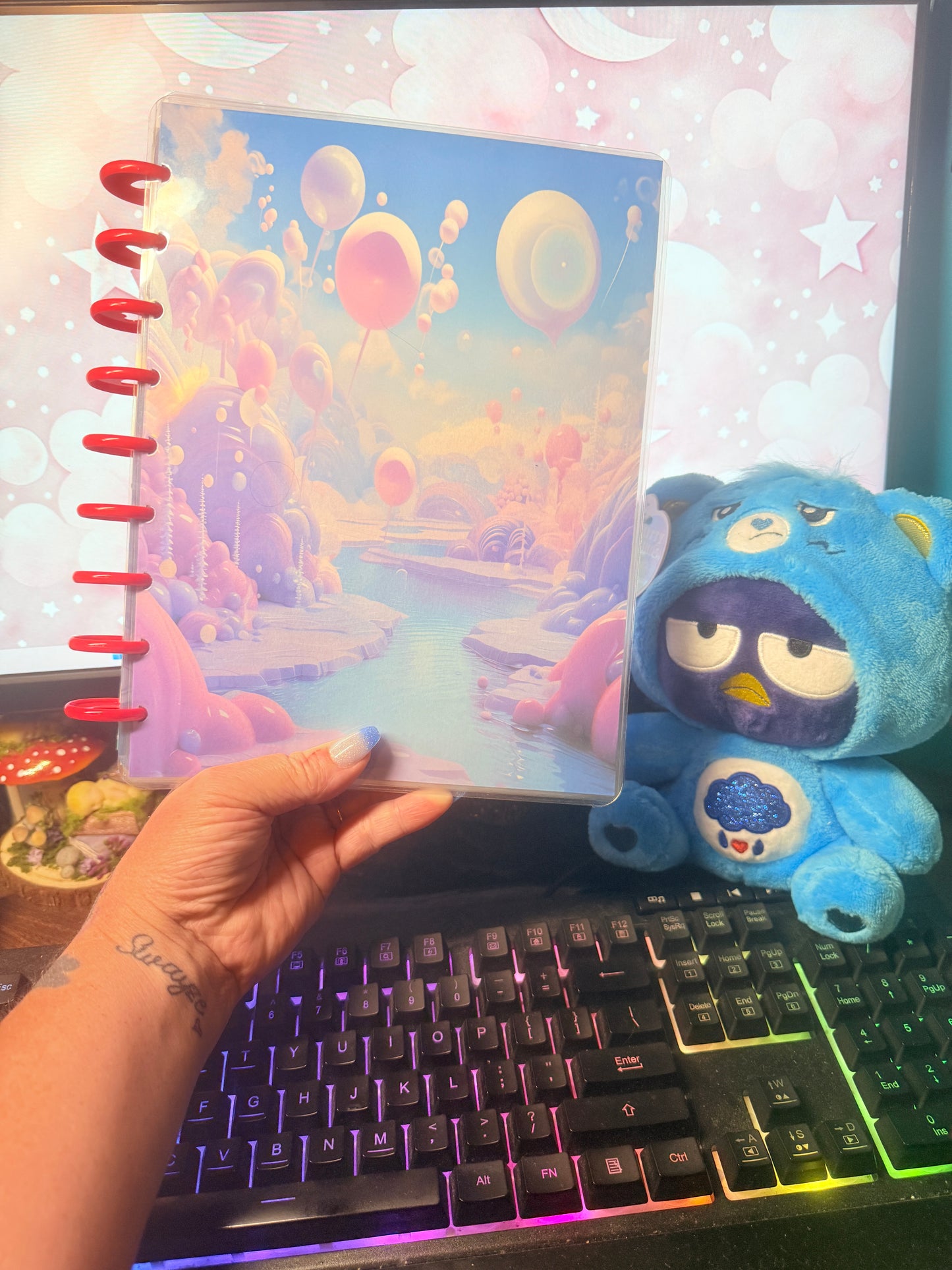 Fairyland Cover and Dashboard